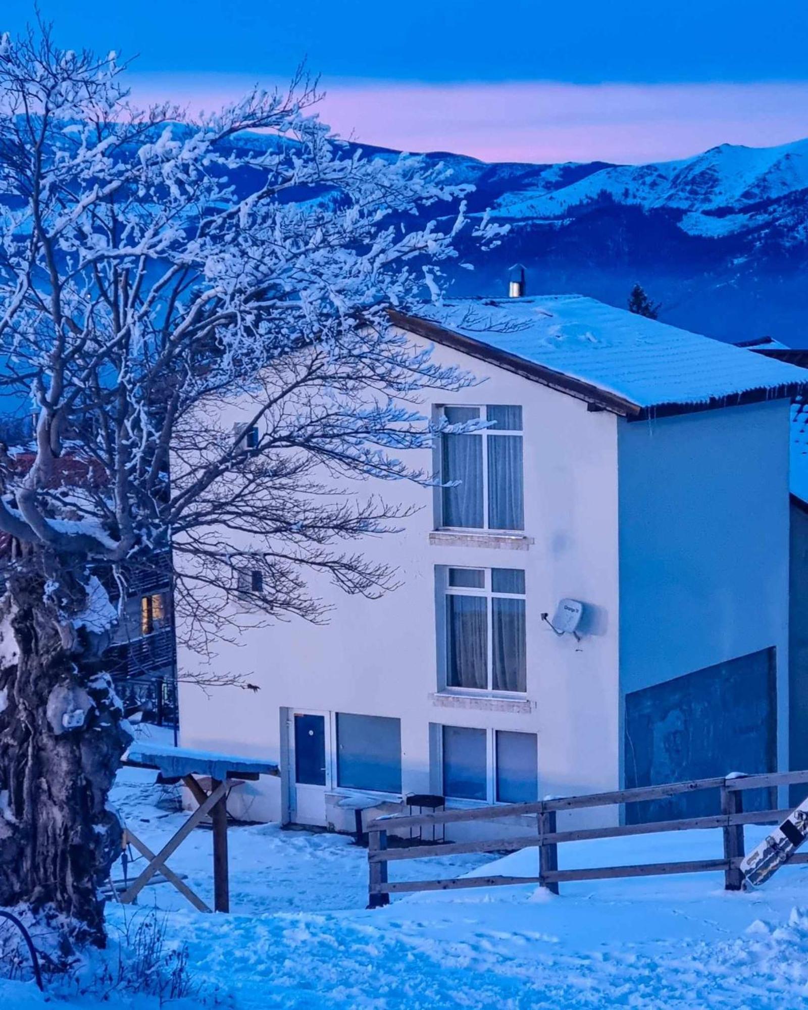 Pensiunea Sky Lupeni  Zewnętrze zdjęcie